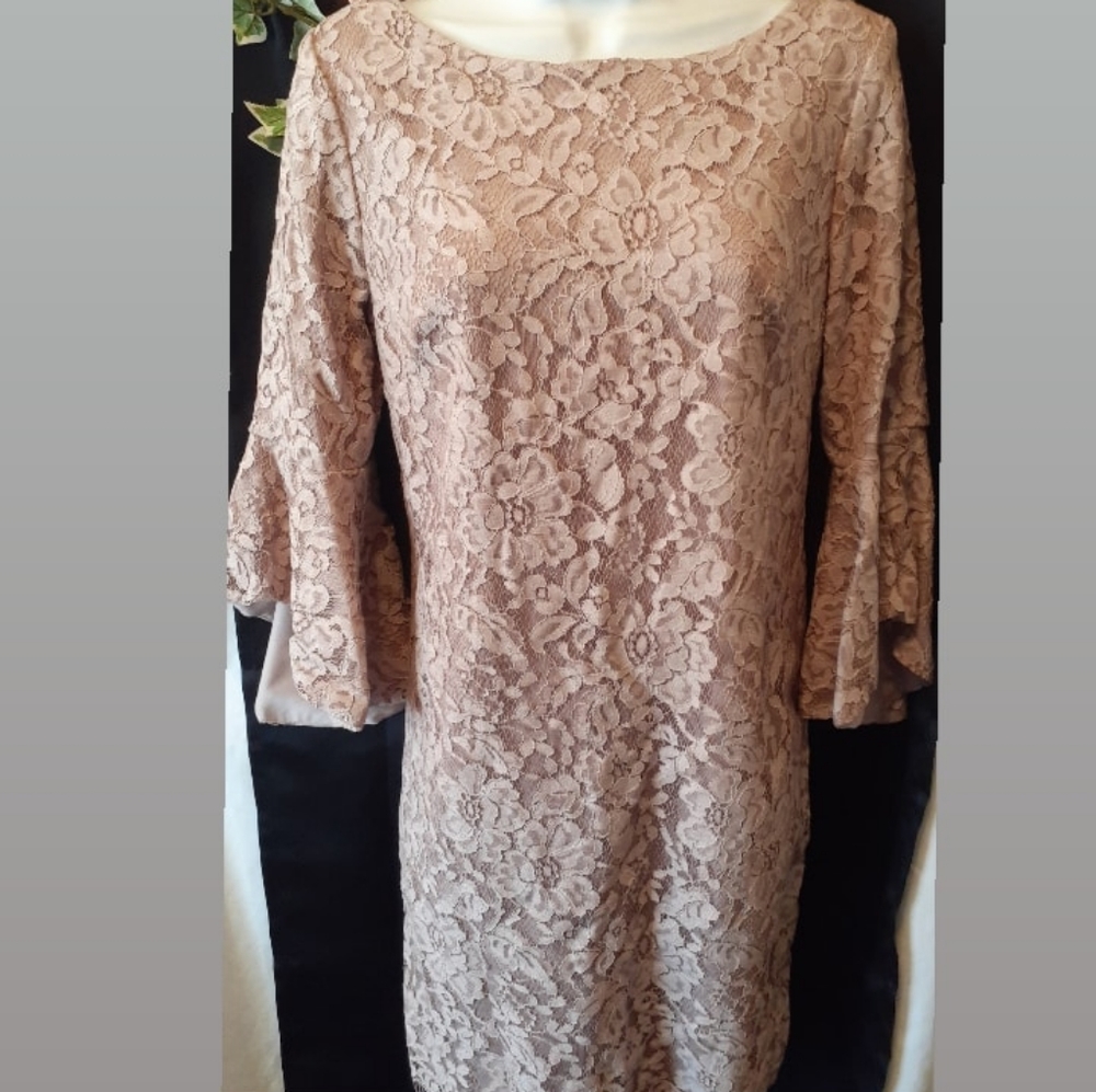 Chetta B pink sz 8 lace flounce sleeve shift dress